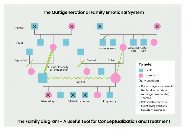 Bowen Family Systems Theory ISSFI